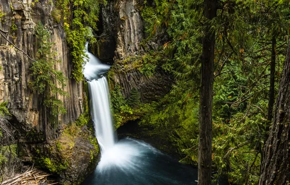 Картинка лес, деревья, скала, камни, водопад, мох, США, Oregon