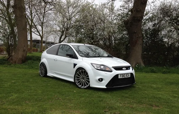 Картинка white, grass, ford, focus