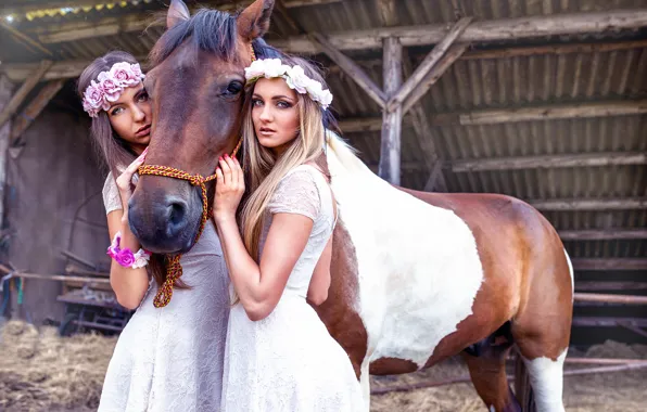 Картинка конь, две девушки, Vita Vecera, Sisters with horse