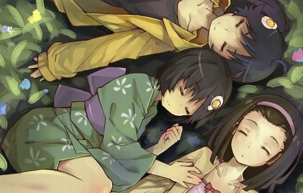 Аниме, арт, девочка, кимоно, bakemonogatari, araragi koyomi, nisemonogatari, araragi tsukihi