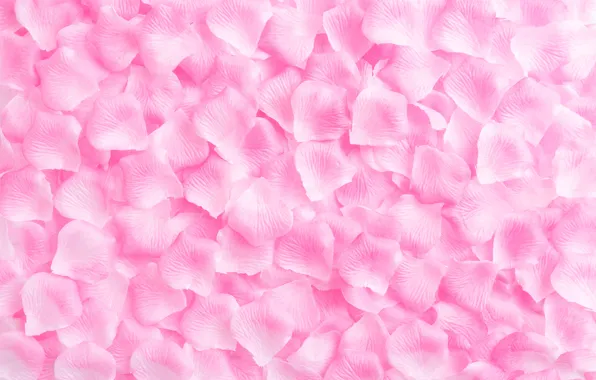 Картинка фон, розовый, розы, лепестки, rose, pink, background, petals
