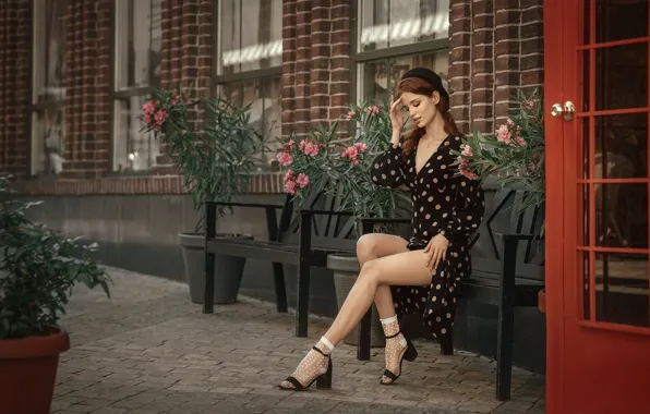 Картинка dress, legs, flowers, model, women, brunette, bench, black dress