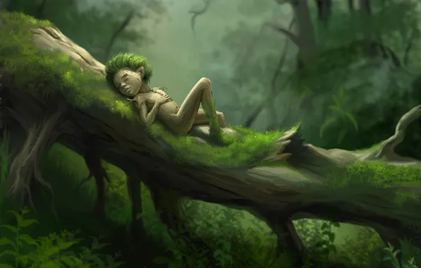 Картинка лес, трава, дерево, отдых, мох, арт, человечек