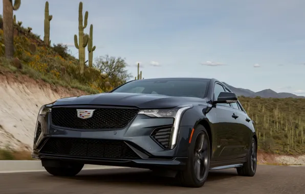 Cadillac, седан, на дороге, четырёхдверный, 2020, CT4-V