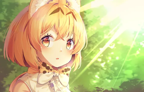 Девочка, Kemono Friends, Ушастые друзья