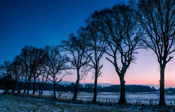Картинка зима, иней, поле, деревья, рассвет, поляна, утро, Норвегия