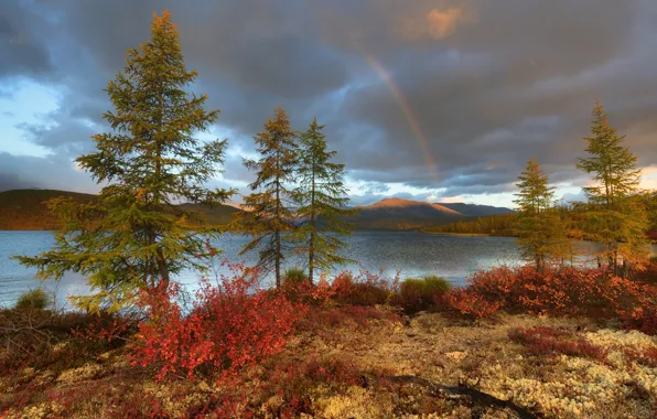 Картинка осень, деревья, горы, озеро, радуга, Россия, Магаданская область, Озеро Джека Лондона