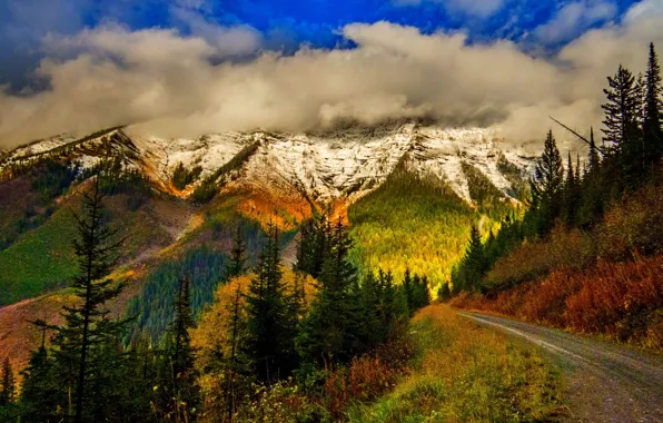 Картинка дорога, осень, лес, небо, листья, облака, снег, деревья