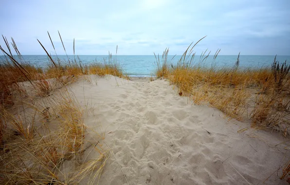 Картинка песок, море, небо, трава, облака, берег