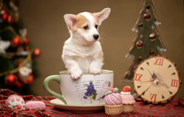 Часы, собака, кружка, щенок, Новый год, пёсик, декорация, Вельш-корги