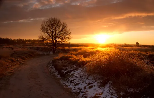 Картинка дорога, трава, солнце, снег, закат, дерево