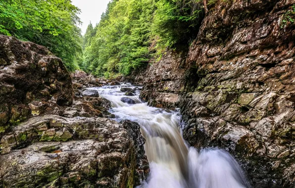 Деревья, камни, Англия, водопад, Wales, Betws-y-Coed