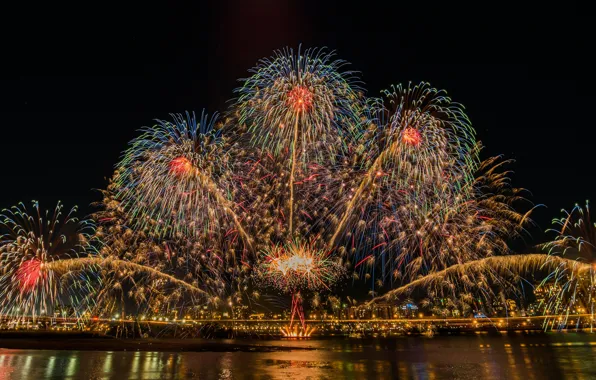 Картинка цветы, ночь, река, красота, river, night, вспышки, flowers