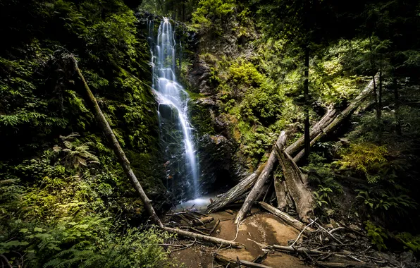 Картинка лес, деревья, камни, скалы, водопад, поток, California, Berry Creek Falls