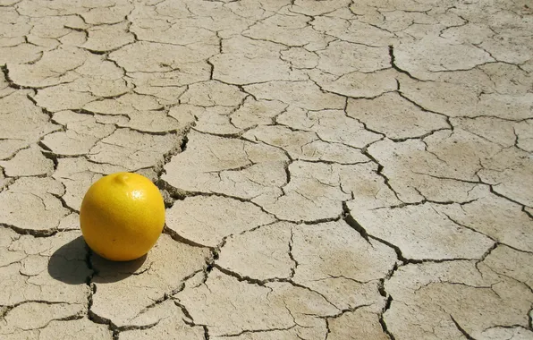 Картинка lemon, shadows, dry land