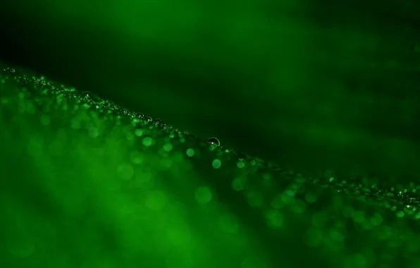 Капли, макро, green, bokeh, leaf