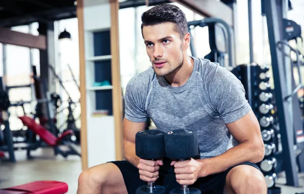 Muscle, мышцы, тренировка, атлет, гантели, бицепс, fitness, training