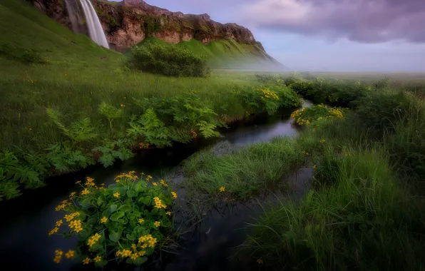 Картинка зелень, трава, цветы, горы, природа, река, ручей, водопад