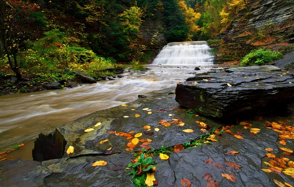 Картинка осень, лес, листья, деревья, река, камни, скалы, водопад