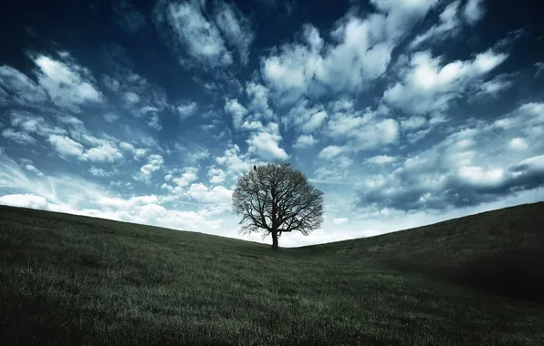 Картинка зелень, небо, трава, облака, деревья, природа, дерево, холмы