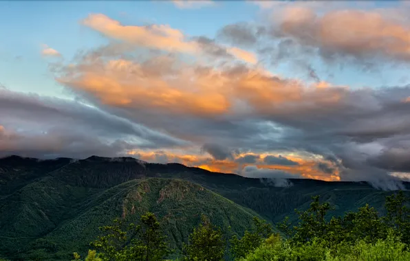 Картинка лес, облака, закат, горы, США, Washington, Mount St. Helens