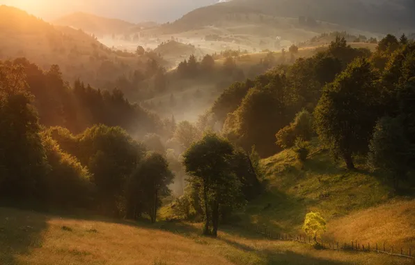 Картинка деревья, пейзаж, природа, туман, холмы, Румыния, Краси Матаров