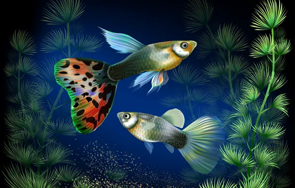 Картинка рыбки, водоросли, аквариум, вектор, под водой