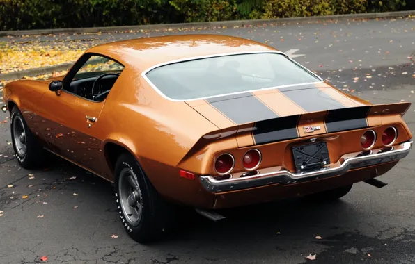 Листья, оранжевый, фон, купе, Chevrolet, Камаро, Шевроле, 1971