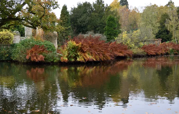 Осень, озеро, парк, Англия, colors, Великобритания, park, autumn