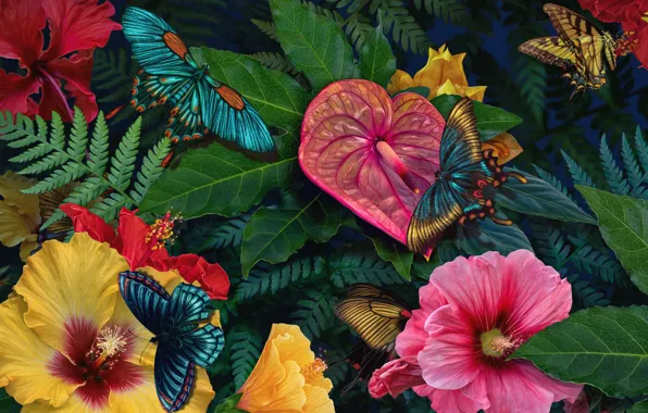 Бабочки, цветы, butterfly, flowers