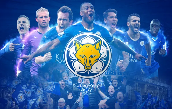 Wallpaper, sport, logo, football, fans, players, Leicester City FC