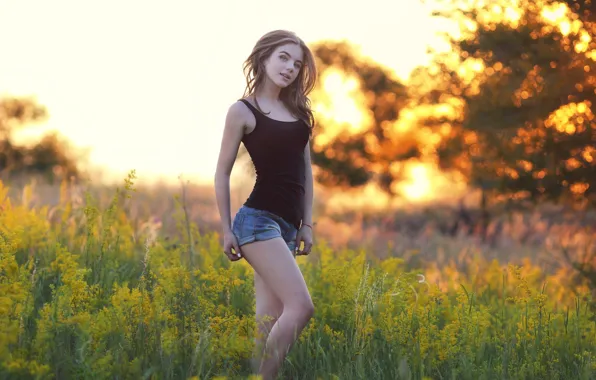 Лето, взгляд, девушка, закат, природа, поза, фигура, красотка