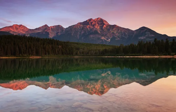 Картинка лес, вода, горы, отражение, Канада, озеро Патриция, Национальный парк Джаспер, Пирамидная гора