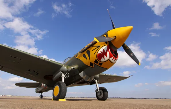 Картинка небо, истребитель, аэродром, P-40 Warhawk