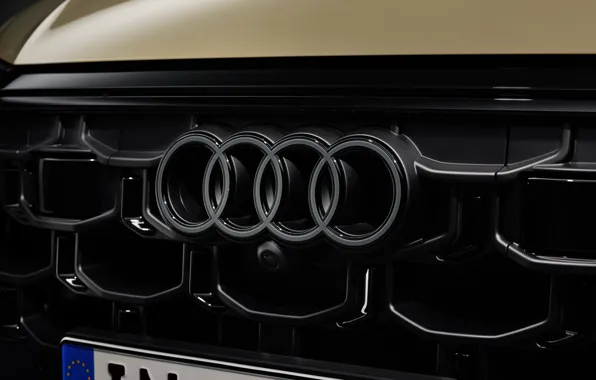 Картинка Audi, logo, Q8, Audi Q8 2024