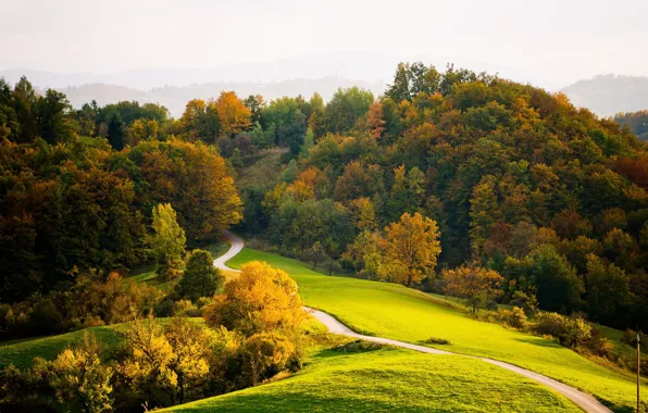 Картинка дорога, осень, лес, деревья, горы, forest, road, trees
