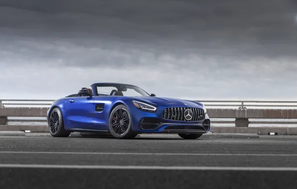 Roadster, Mercedes-Benz, AMG, 2019, GT C