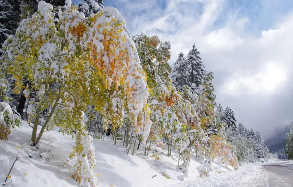 Картинка зима, дорога, осень, небо, листья, облака, снег, деревья