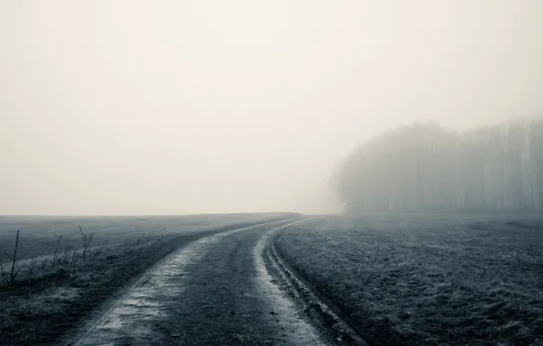 Картинка дорога, поле, туман