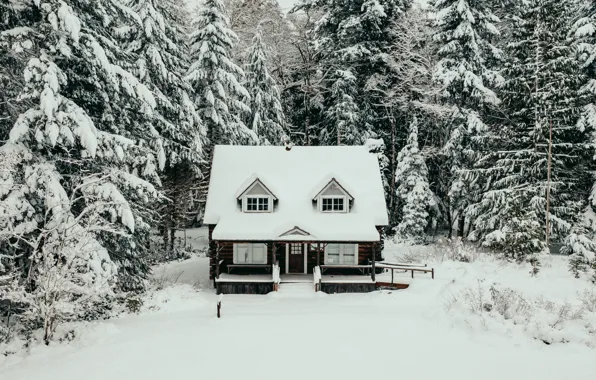Картинка зима, лес, снег, деревья, природа, дом
