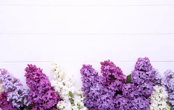 Цветы, фон, wood, flowers, сирень, purple, lilac