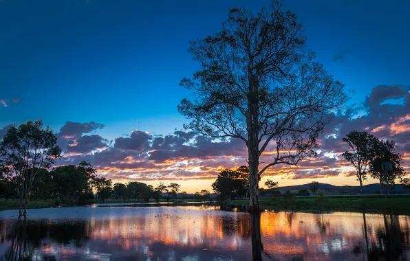 Картинка деревья, закат, река, Австралия, Australia