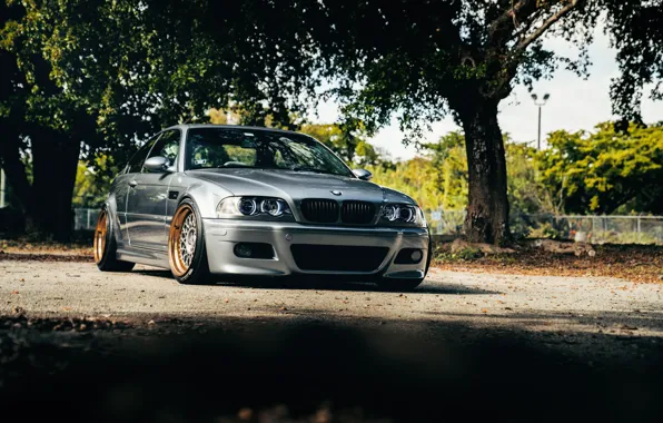 Картинка BMW, E46, Silver