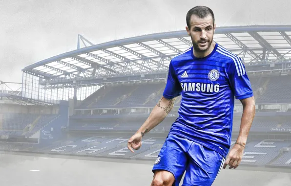 Wallpaper, sport, stadium, football, Stamford Bridge, player, Chelsea FC, Cesc Fabregas