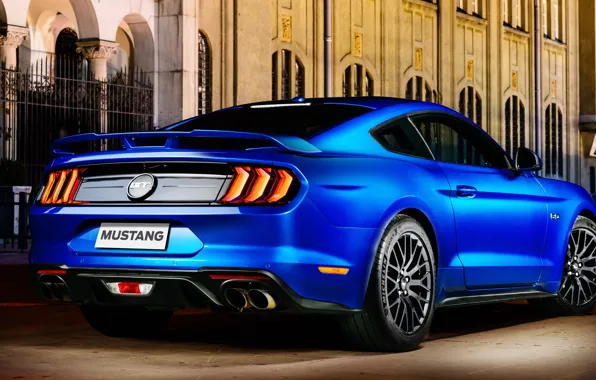 Синий, Ford, вид сзади, Fastback, 2018, Mustang GT