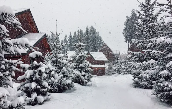 Природа, Дома, Снег, Nature, Snow, Snow trees, Winter beauty, Houses
