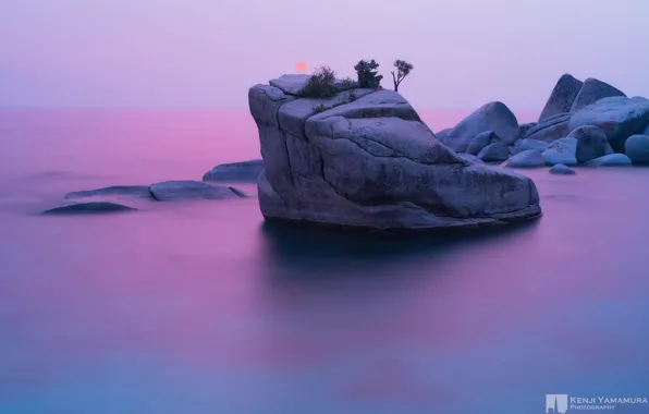 Закат, скала, дерево, photographer, Bonsai Rock, Kenji Yamamura