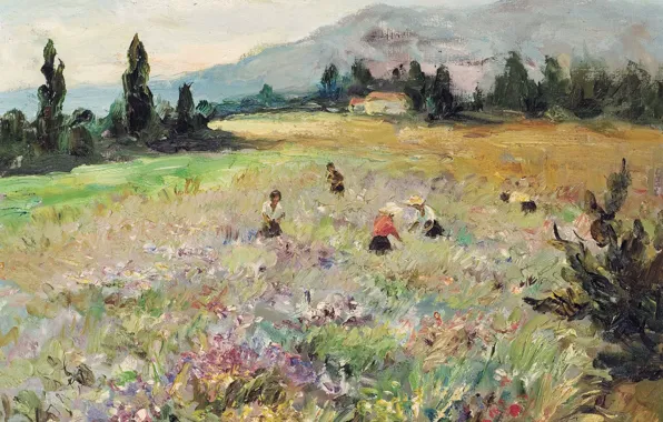 Картинка поле, пейзаж, горы, картина, луг, Марсель Диф, on the French Riviera, Fields at Biot