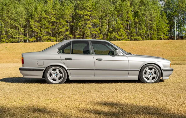 Картинка BMW, E34, 5-Series, M5