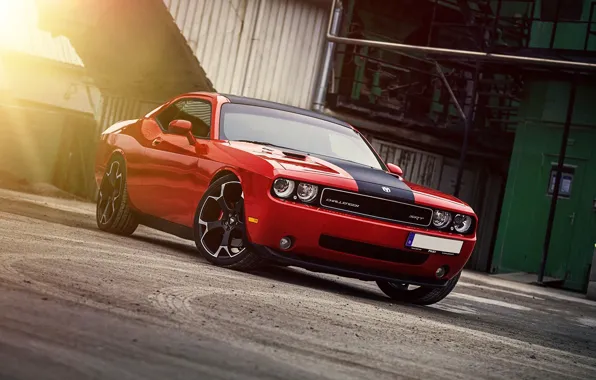Dodge, challenger, muscle car